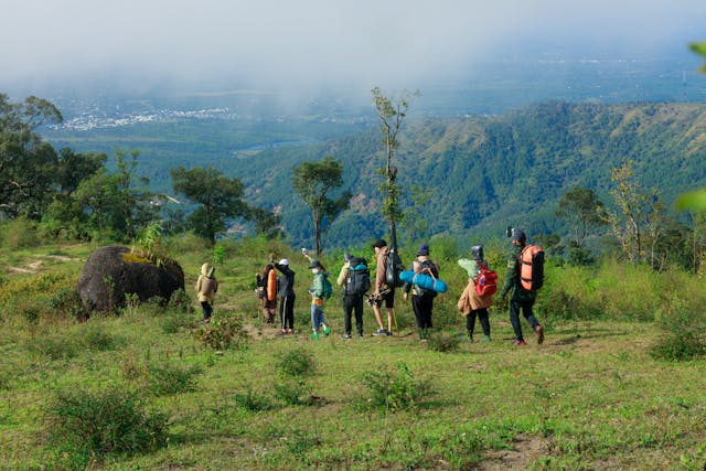 Naltronesia за нас